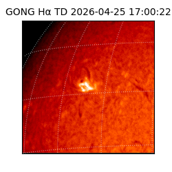 gong - 2026-04-25T17:00:22