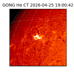 gong - 2026-04-25T19:00:42