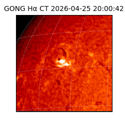 gong - 2026-04-25T20:00:42