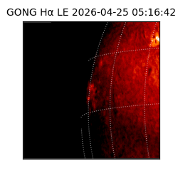 gong - 2026-04-25T05:16:42
