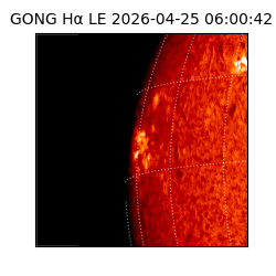 gong - 2026-04-25T06:00:42