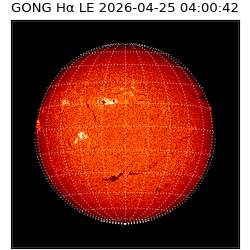 gong - 2026-04-25T04:00:42