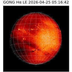 gong - 2026-04-25T05:16:42
