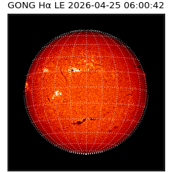 gong - 2026-04-25T06:00:42