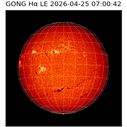 gong - 2026-04-25T07:00:42