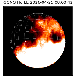 gong - 2026-04-25T08:00:42