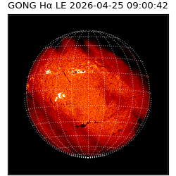 gong - 2026-04-25T09:00:42