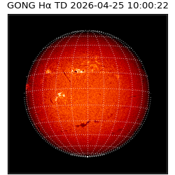 gong - 2026-04-25T10:00:22