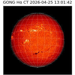 gong - 2026-04-25T13:01:42