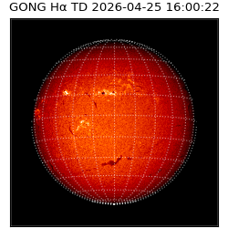 gong - 2026-04-25T16:00:22