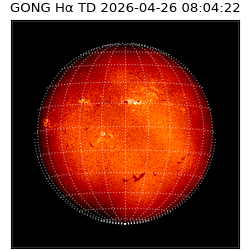 gong - 2026-04-26T08:04:22