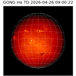 gong - 2026-04-26T09:00:22