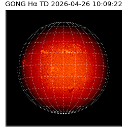 gong - 2026-04-26T10:09:22