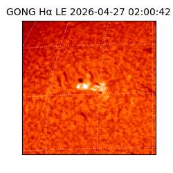 gong - 2026-04-27T02:00:42