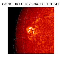 gong - 2026-04-27T01:01:42