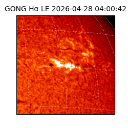 gong - 2026-04-28T04:00:42