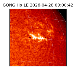 gong - 2026-04-28T09:00:42