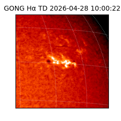 gong - 2026-04-28T10:00:22