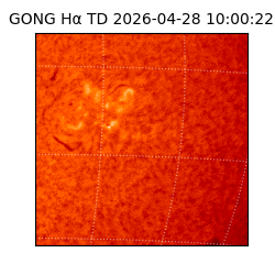 gong - 2026-04-28T10:00:22
