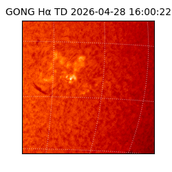 gong - 2026-04-28T16:00:22