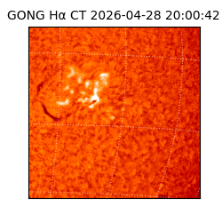 gong - 2026-04-28T20:00:42