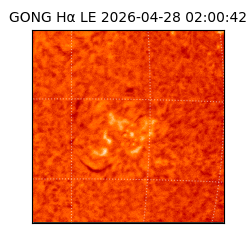 gong - 2026-04-28T02:00:42