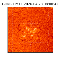 gong - 2026-04-28T08:00:42