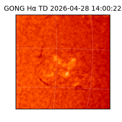 gong - 2026-04-28T14:00:22