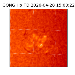 gong - 2026-04-28T15:00:22