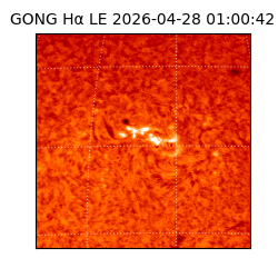 gong - 2026-04-28T01:00:42