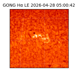 gong - 2026-04-28T05:00:42