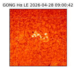 gong - 2026-04-28T09:00:42