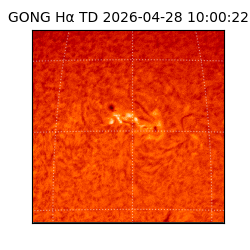 gong - 2026-04-28T10:00:22