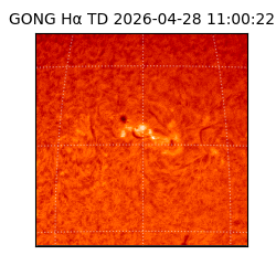 gong - 2026-04-28T11:00:22