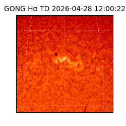 gong - 2026-04-28T12:00:22