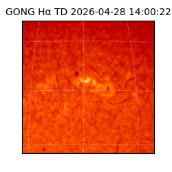 gong - 2026-04-28T14:00:22