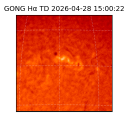 gong - 2026-04-28T15:00:22