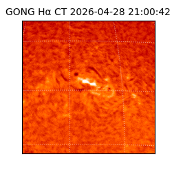 gong - 2026-04-28T21:00:42