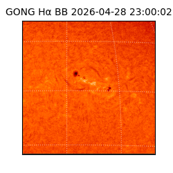 gong - 2026-04-28T23:00:02