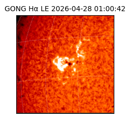 gong - 2026-04-28T01:00:42