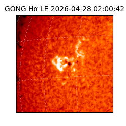 gong - 2026-04-28T02:00:42