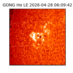 gong - 2026-04-28T06:09:42