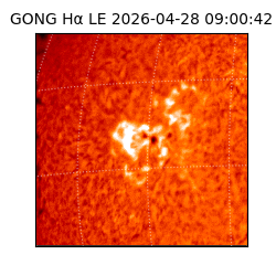 gong - 2026-04-28T09:00:42