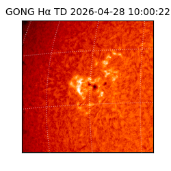 gong - 2026-04-28T10:00:22