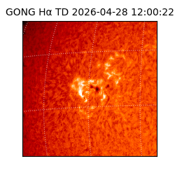 gong - 2026-04-28T12:00:22