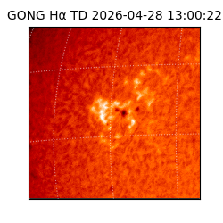 gong - 2026-04-28T13:00:22