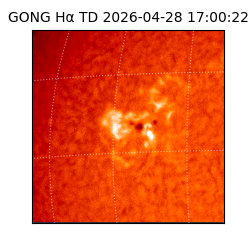 gong - 2026-04-28T17:00:22