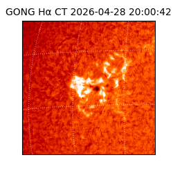 gong - 2026-04-28T20:00:42