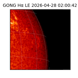 gong - 2026-04-28T02:00:42