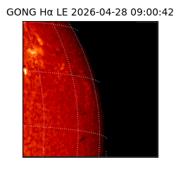 gong - 2026-04-28T09:00:42